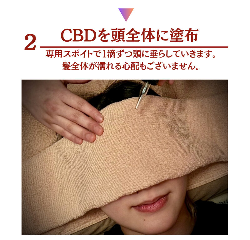 CBDを頭全体へ塗布する施術工程