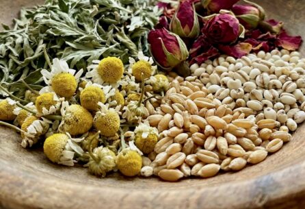 ワイルームSpa蒲田店のよもぎ蒸し